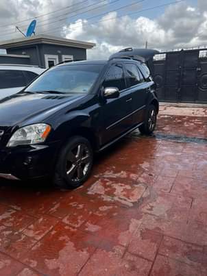 A picture of 2010 ML350