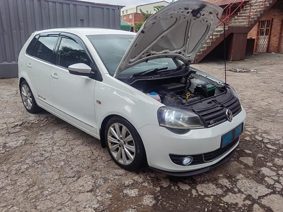 polo vivo