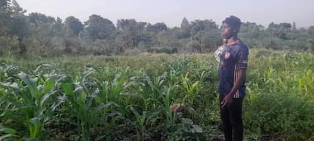 A picture of Plot for sell size 40 205ft at 20m only wakiso