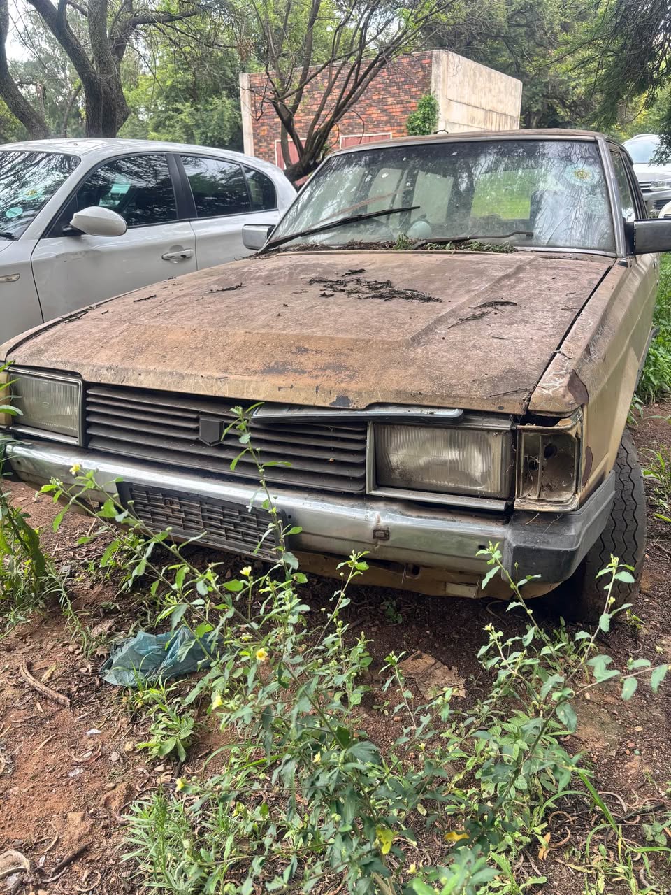 toyota cressida