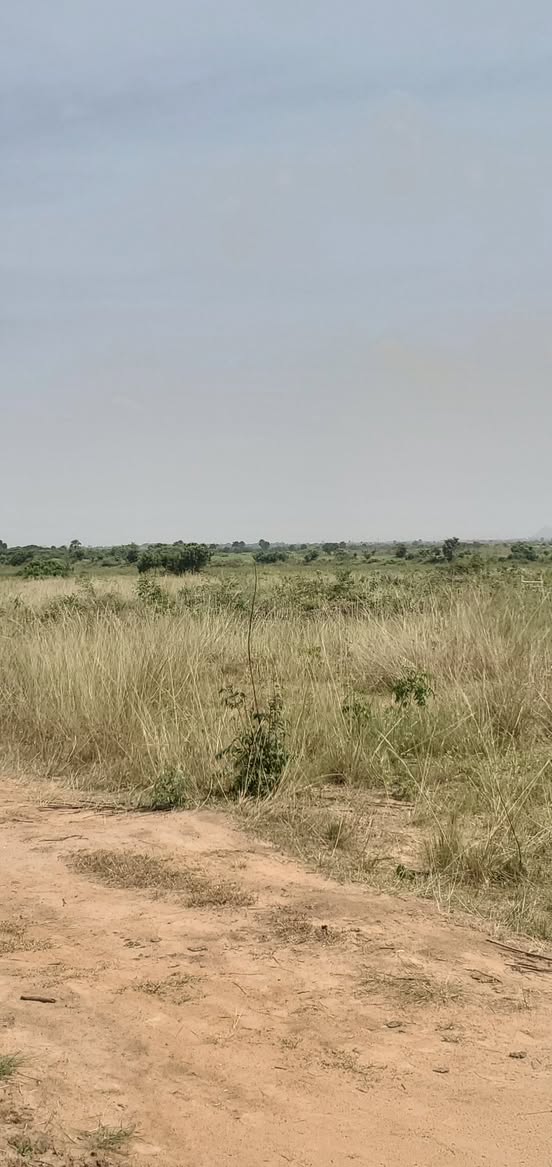 lands