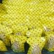 A picture of CASHEWNUTS FOR SALE