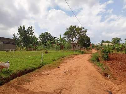 A picture of Cheap Plots for sale Cheap Plots up for sale Good