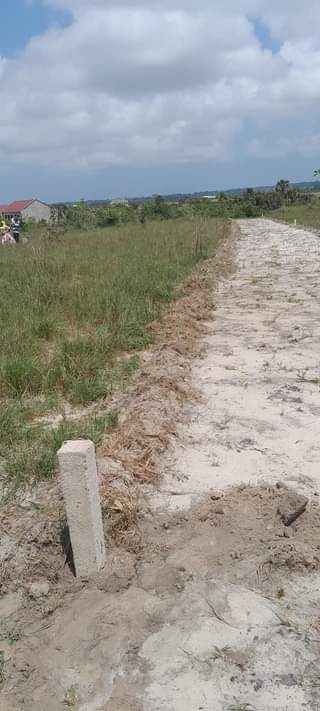 A picture of Ofa ofa ofa Wahi ujipatie kiwanja chako KIGAMBONI kwa bei