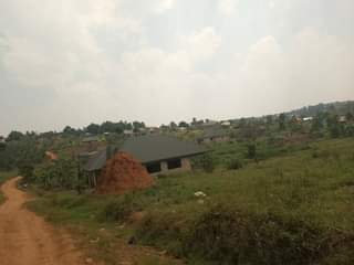 A picture of Quick sale size 100by100ft with land title busubuzi price 22m