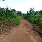 A picture of House available for sale in Kamengo on Masaka road 2km