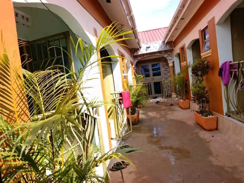 houses for rent