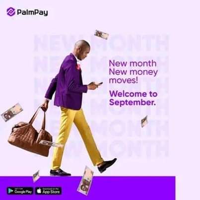 A picture of Palmpay POS machine