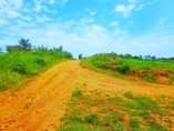 A picture of 50 100ft titled plots at our kakiri kikandwa Bukelekele Estate