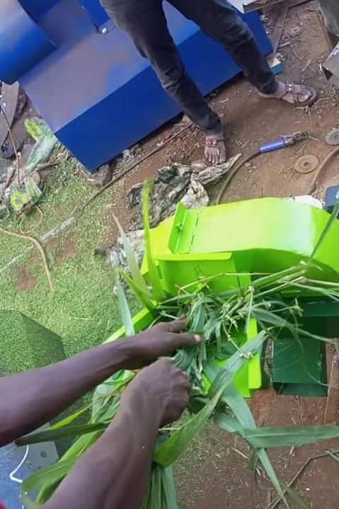 Ssenkungu H.
