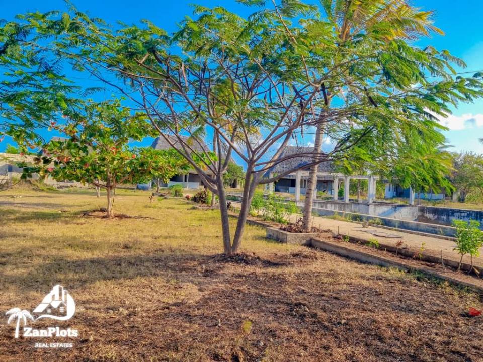 A picture of Beach for sale Zanzibar