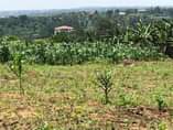 A picture of Titled plot at 20m nakasajja kalagala