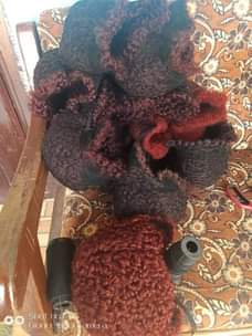 A picture of Women Hair Cap