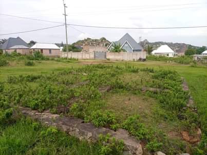 A picture of Mwanza Buhongwa kiwanja kinauzwa