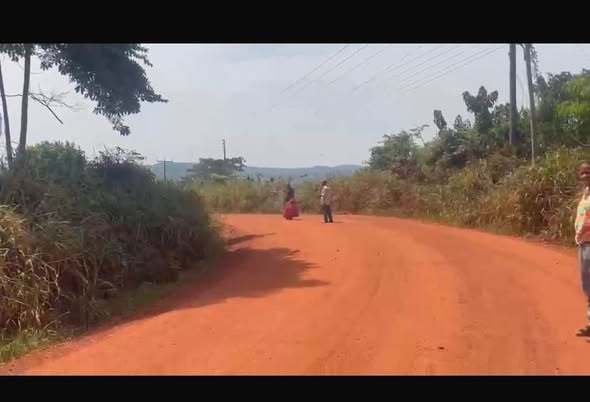 ghana plots