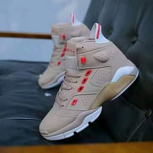 A picture of Shoe