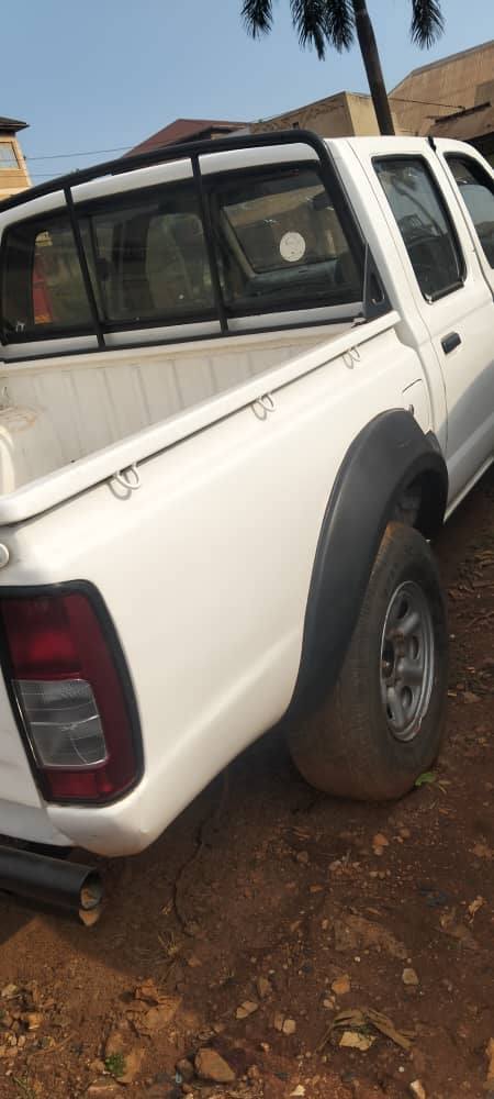 A picture of Nissan hard body