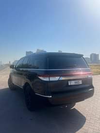 A picture of lincoln