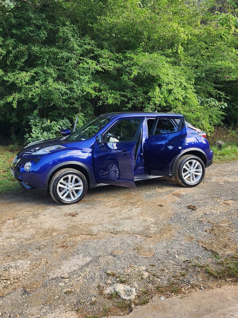 nissan juke