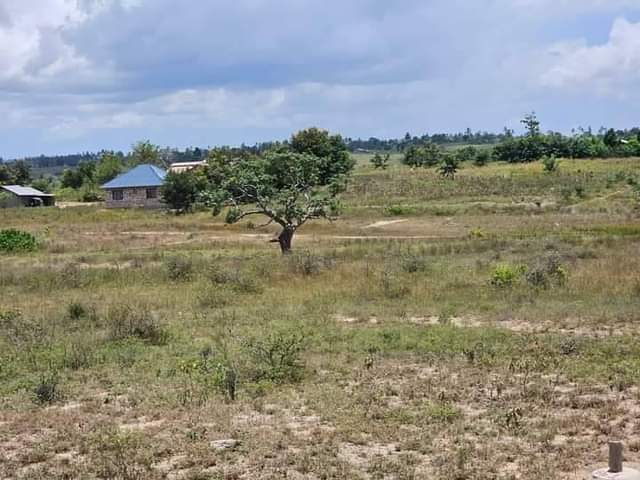 plots mariakani
