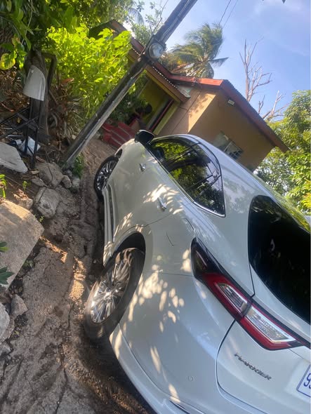 2019 cars