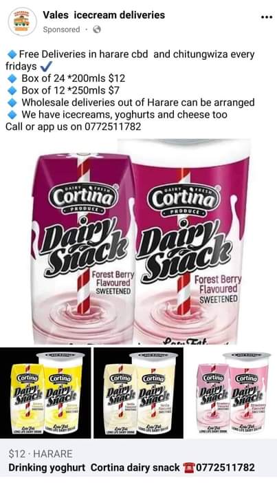 cheese