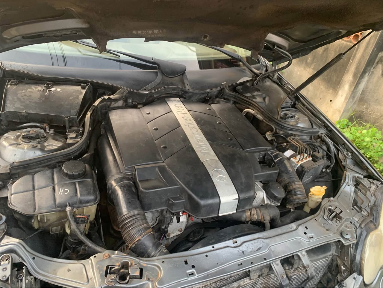 A picture of Mercedes Benz