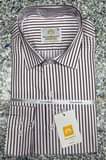 A picture of Shirts