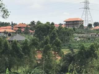 A picture of Wakiso