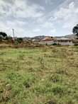 A picture of  PLOT FOR SALE IN SEGUKU KATALE 50X100 available for