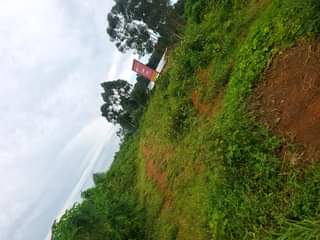 A picture of PRICE DROP KASANJE 50BY 100 TITLED plots at 7 500