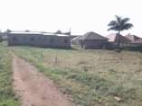 A picture of New site at Kasasa after mwenda