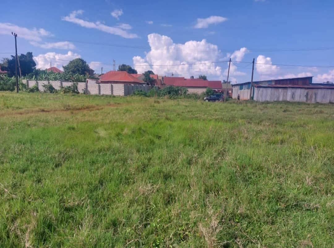 A picture of Titled plots