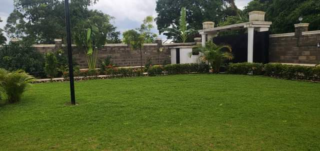 A picture of Country home on Quick sale located kavule Kiwebwa semuto road