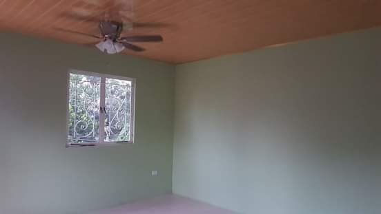Rental P.