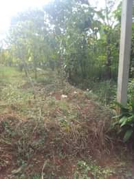A picture of 100by100 plot available for sale kasanje buyege at only 26m