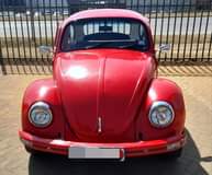 1975 Cars