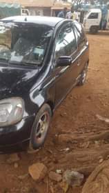 A picture of Vitz