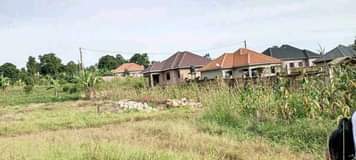 A picture of 50 100 feet plot with ready land title starts from
