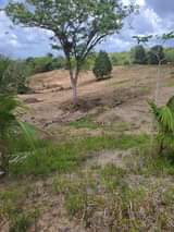 Satesh S.