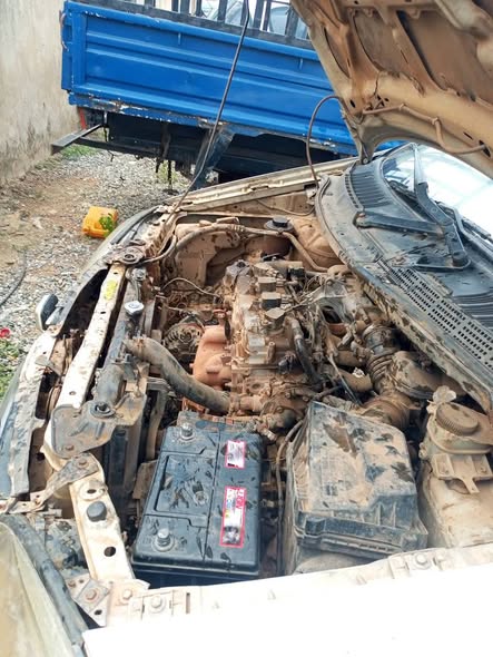 A picture of Nissan Tino First body
