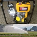 Farming T.