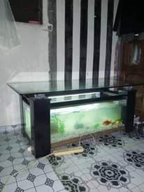 A picture of JUMBA LA KUFUGIA SAMAKI
