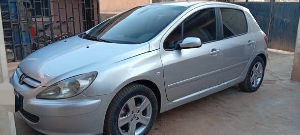 A picture of Clean 307 Peugeot manual transmission