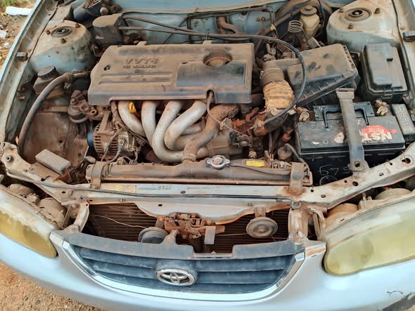 A picture of Corolla small but mighty