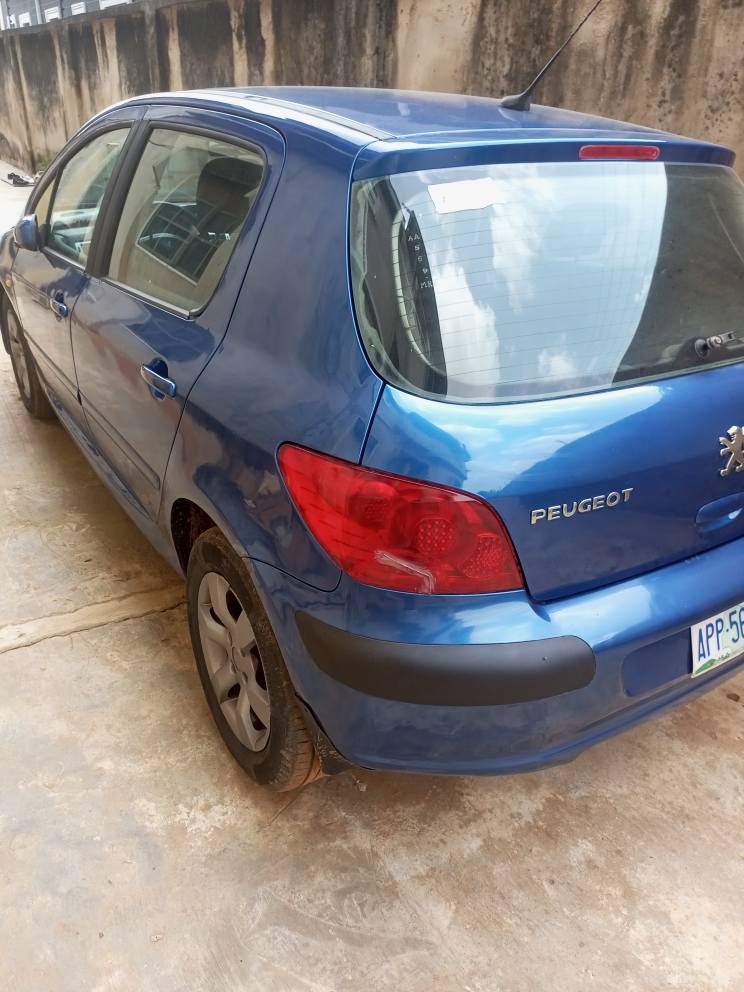 A picture of Peugeot 307