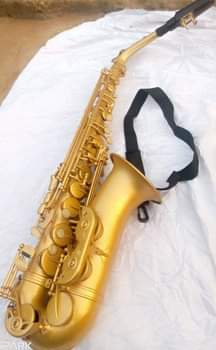 A picture of Alto saxophone