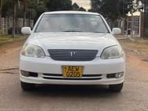 Takudzwa C.