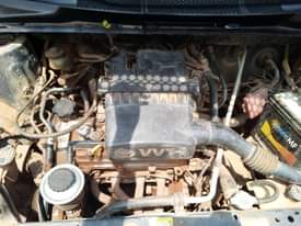 A picture of Vitz