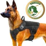 A picture of Pet accessories